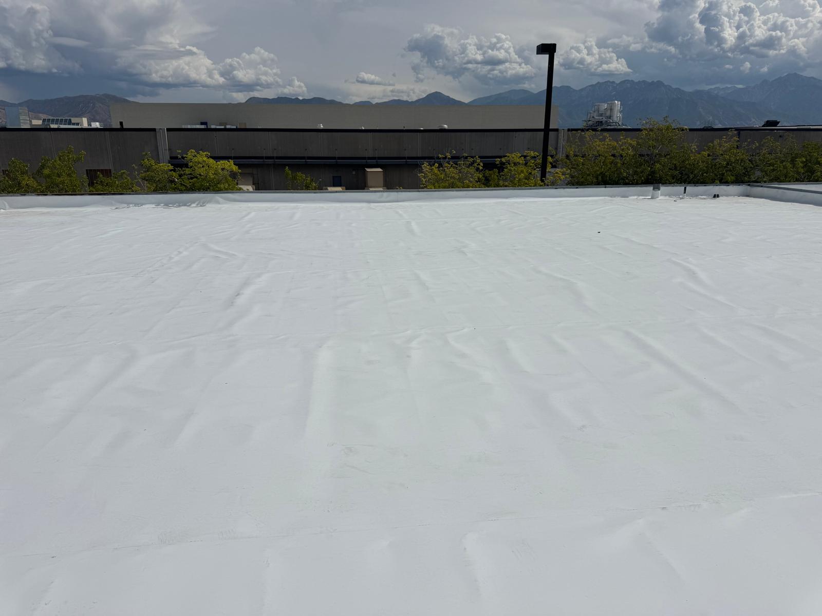 Commercial TPO membrane roof